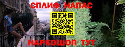 МДПВ Новозыбков