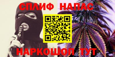 МДПВ Новозыбков