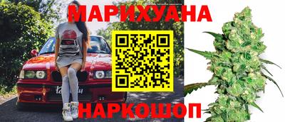 МДПВ Новозыбков