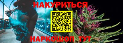 МДПВ Новозыбков