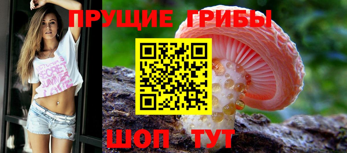 Галлюциногенные грибы мицелий Пугачёв